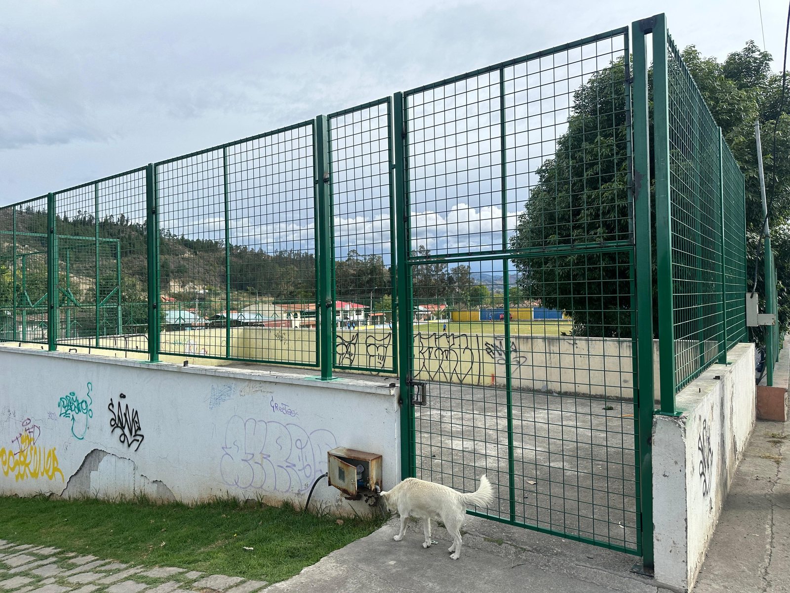 Cerramiento Metálico, Estadio Javier Loyola, foto 6